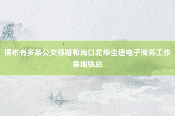 摆布有多条公交领路和海口龙华尘适电子商务工作室地铁站